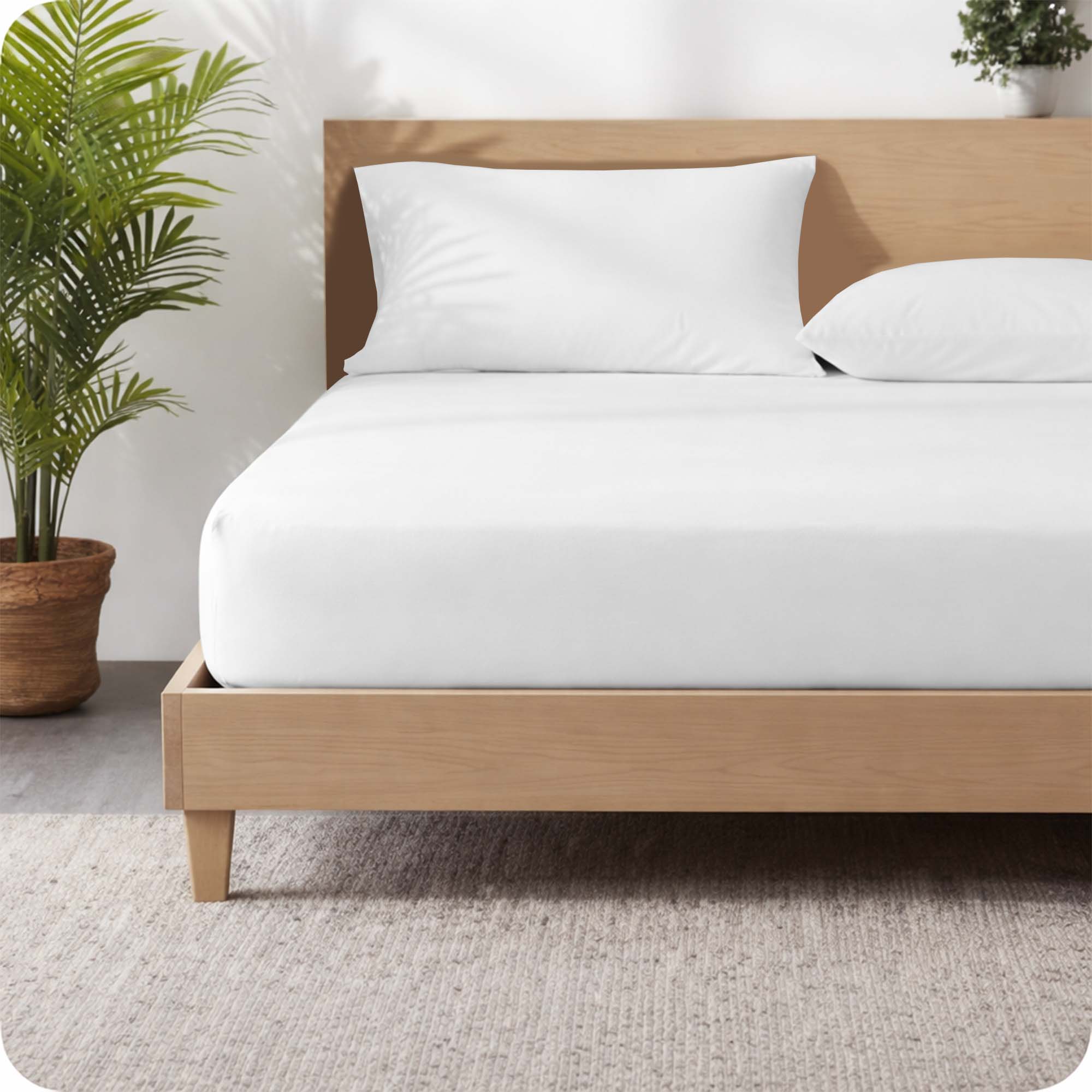 SGI 600 thread count cotton fitted sheet with deep pocket and 360 degree elastic
