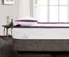 Luxury Plum with White Two Tone Fitted Sheets