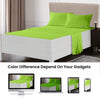 Parrot Green Waterbed Sheets Set